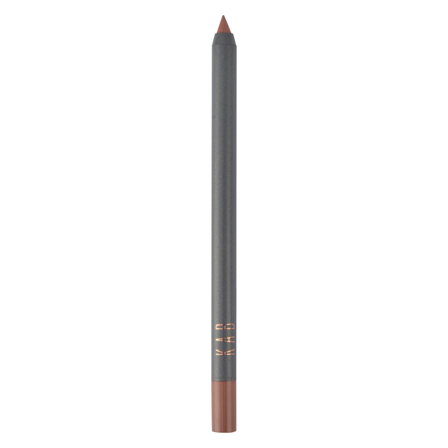 Sending Nudes Lip Kit